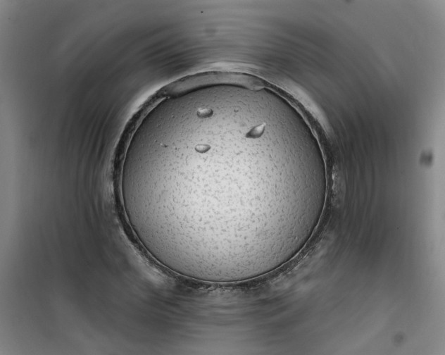 X0000101150972200807111002