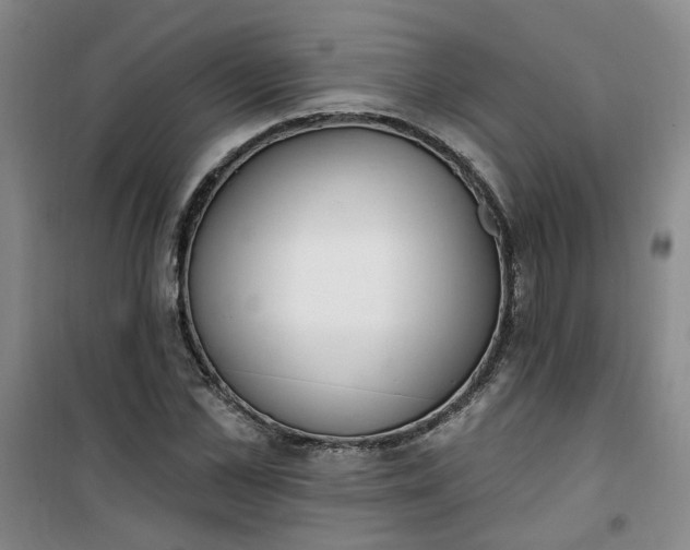 X0000101150973200807111002