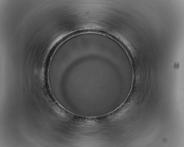 X0000101150975200807111002