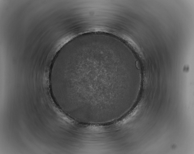 X0000101150977200807111002