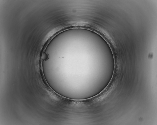 X0000101150978200807111002