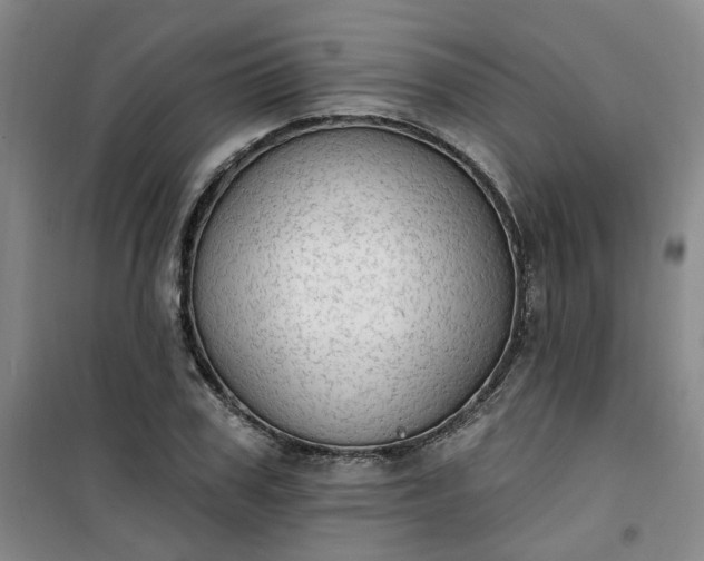 X0000101150979200807111002