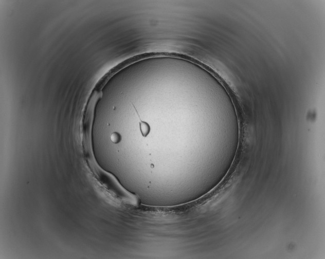 X0000101150980200807111002