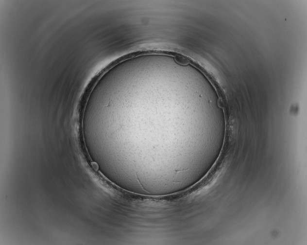 X0000101150981200807111001