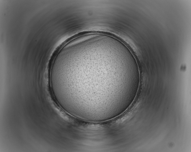 X0000101150982200807111001