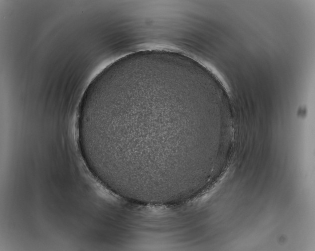 X0000101150983200807111001