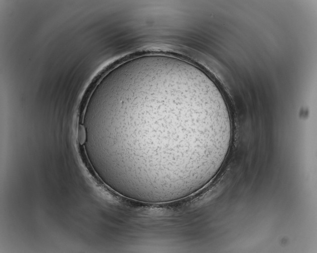 X0000101150984200807111001