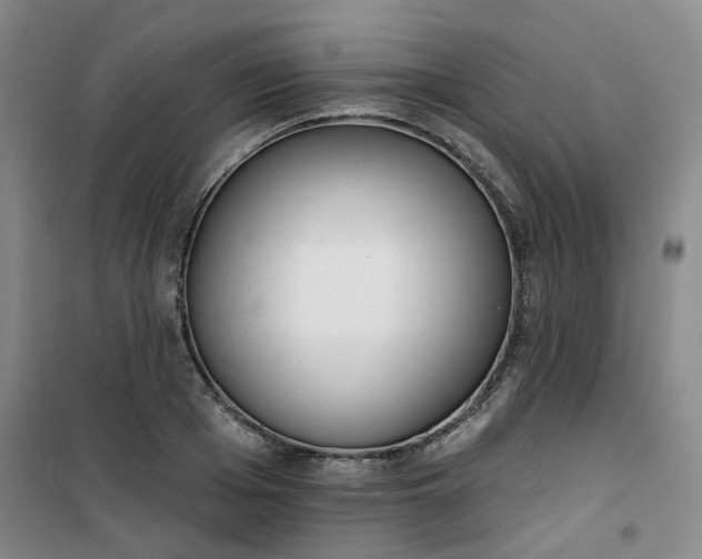 X0000101150985200807111001