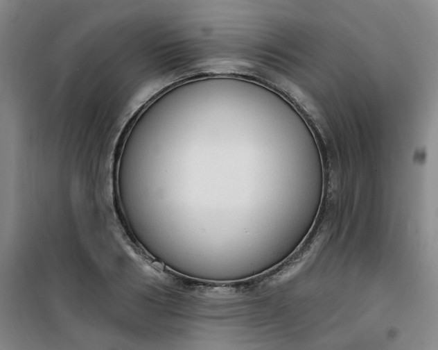 X0000101150986200807111001