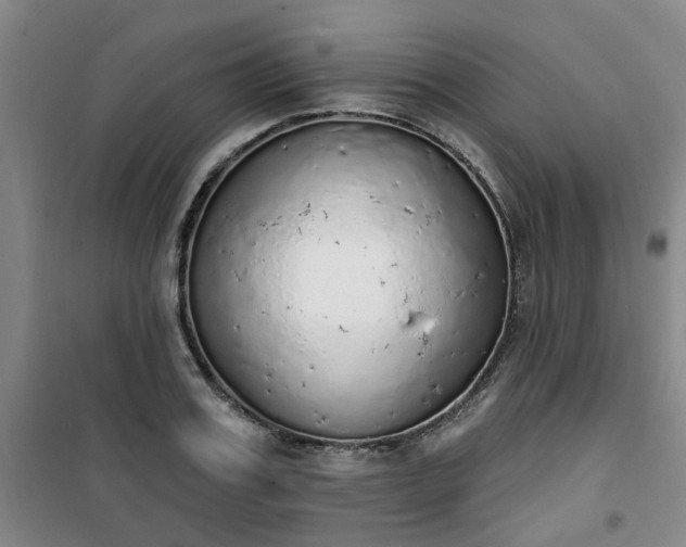 X0000101150987200807111001