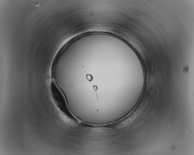 X0000101150988200807111001