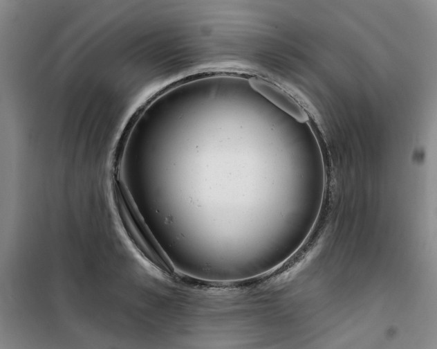 X0000101150989200807111001