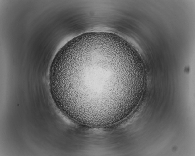 X0000101150990200807111001