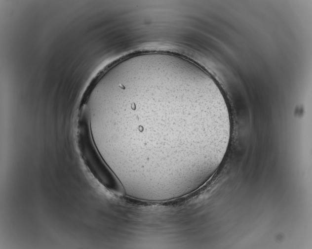 X0000101150992200807111001