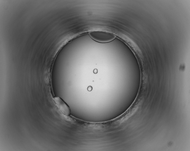 X0000101150993200807111001