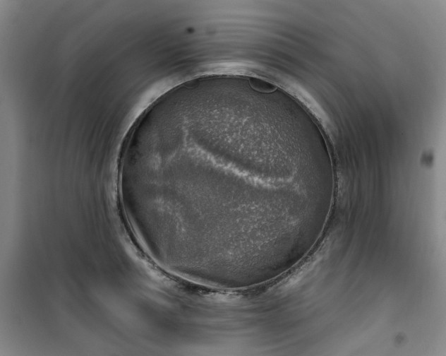 X0000101150994200807111001