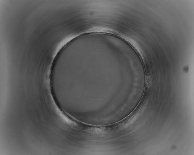 X0000101150995200807111001