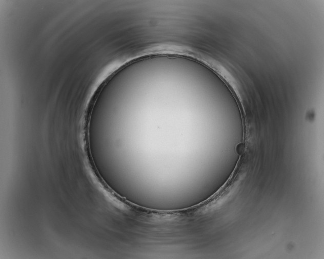 X0000101150997200807111001