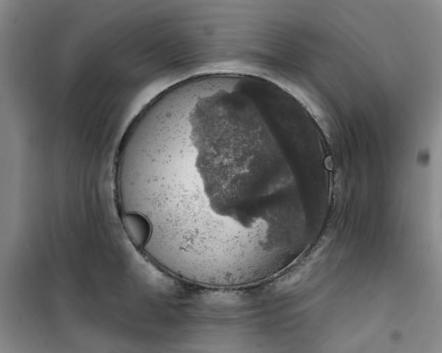 X0000101150998200807111001