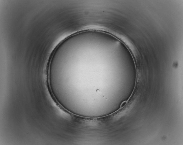 X0000101150999200807111001