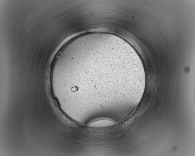 X0000101151000200807111001