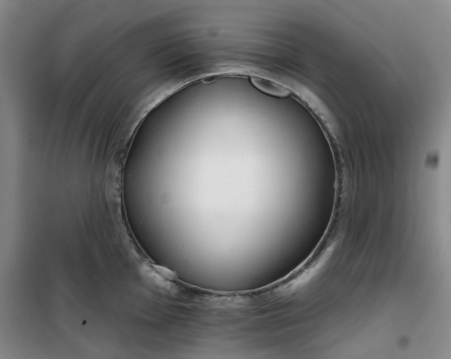 X0000101151001200807111001