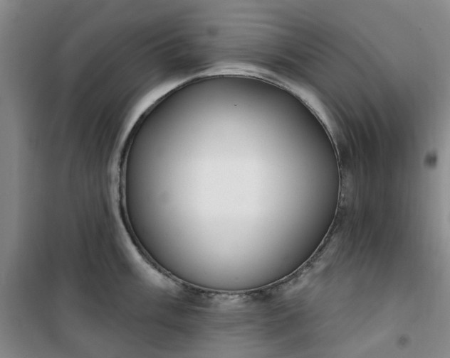 X0000101151003200807111001