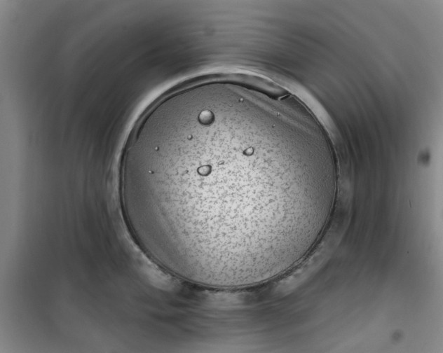 X0000101151004200807111001