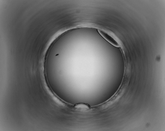 X0000101151005200807111001