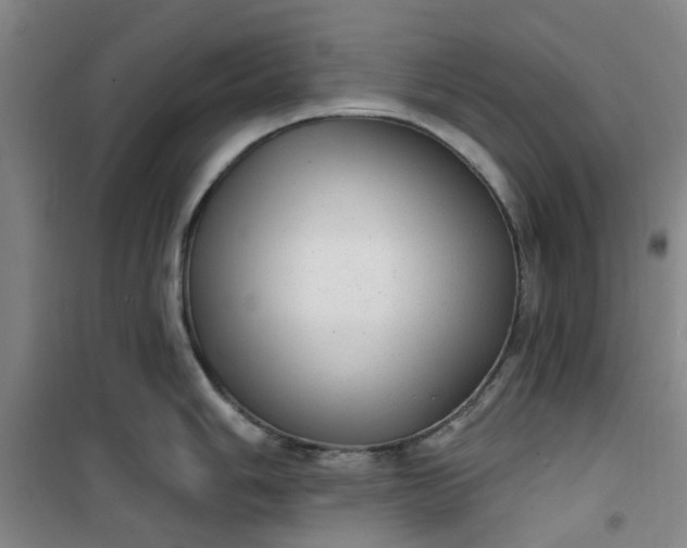 X0000101151006200807111001