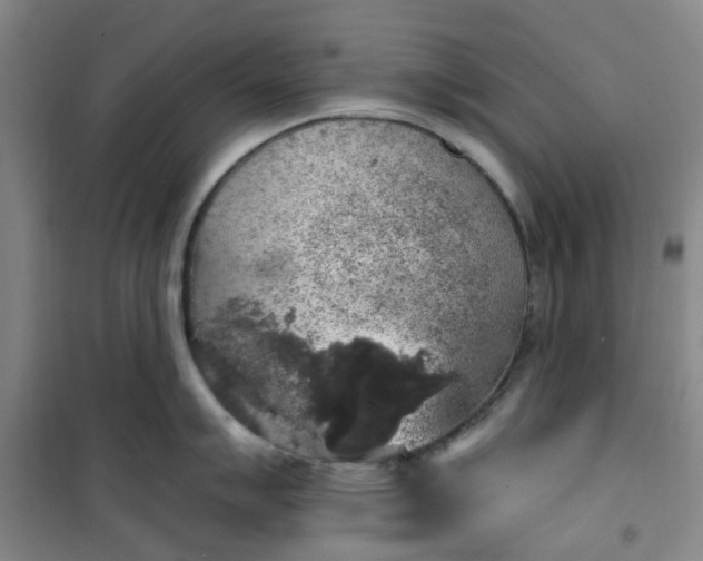 X0000101151007200807111001