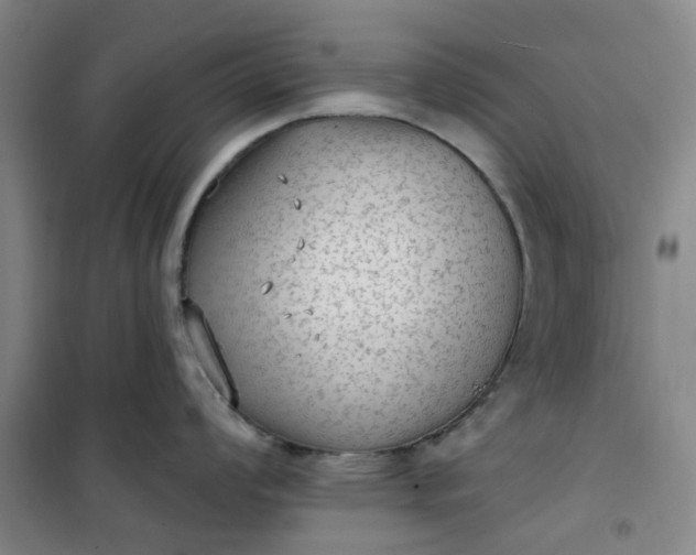 X0000101151008200807111001