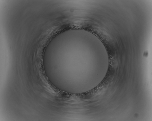 X0000101151009200807111000