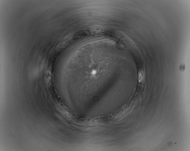 X0000101151011200807111000