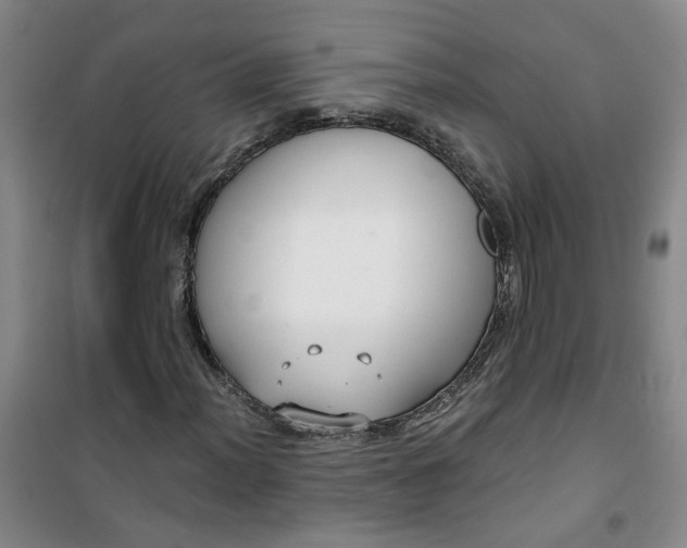 X0000101151012200807111000