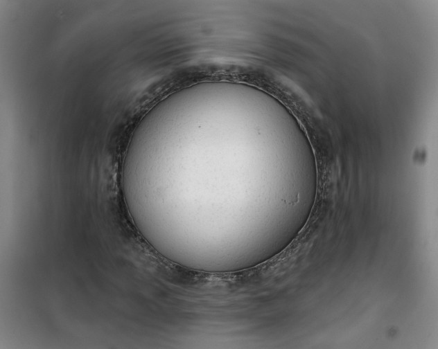 X0000101151013200807111000