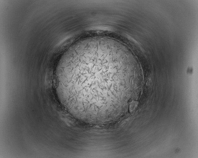 X0000101151014200807111000