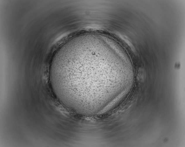 X0000101151015200807111000