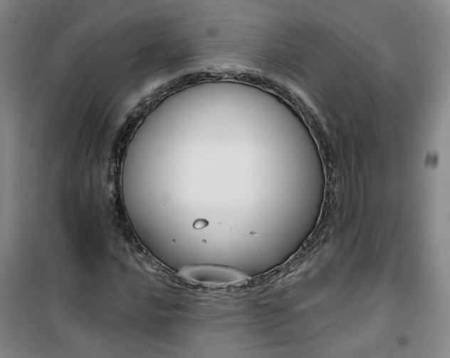 X0000101151016200807111000