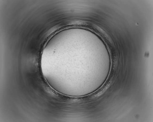 X0000101151017200807111000