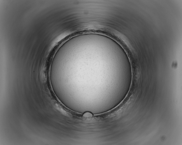 X0000101151018200807111001