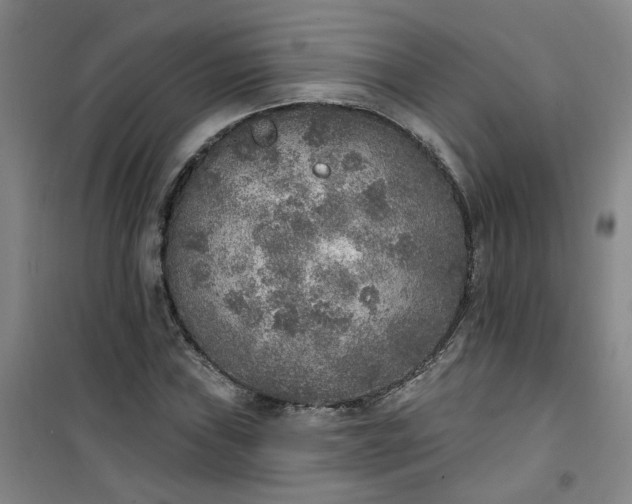 X0000101151019200807111001