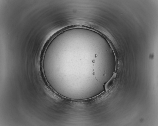 X0000101151020200807111001