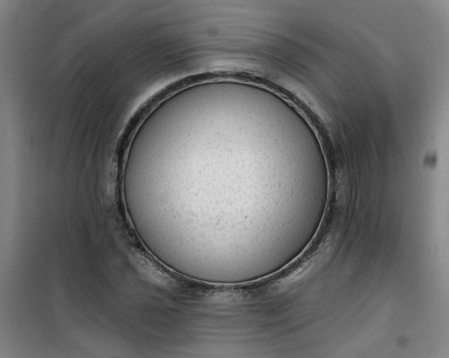 X0000101151021200807111001