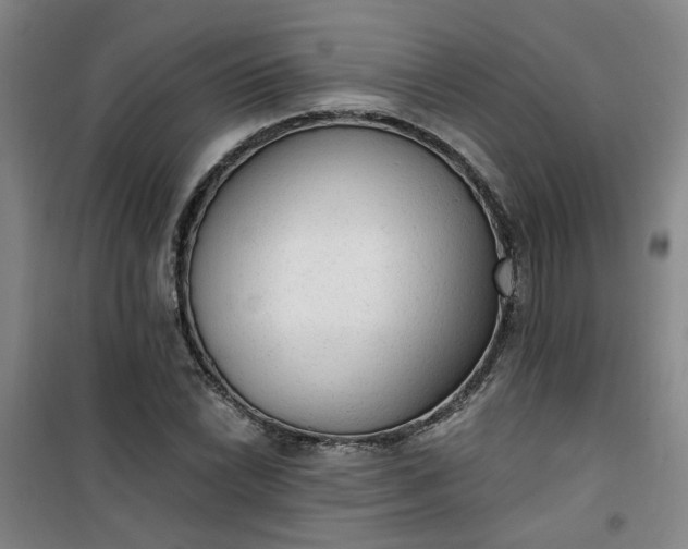 X0000101151022200807111001