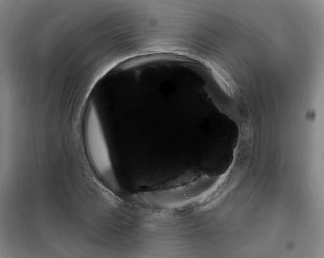 X0000101151023200807111001