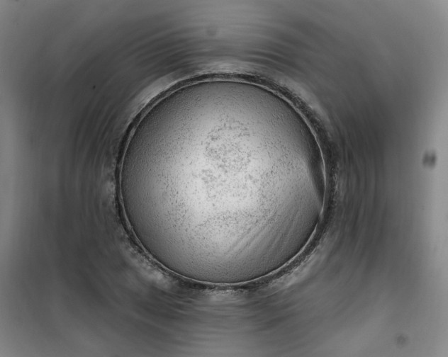 X0000101151025200807111001