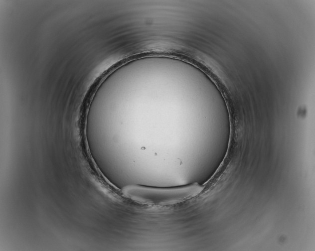 X0000101151026200807111001