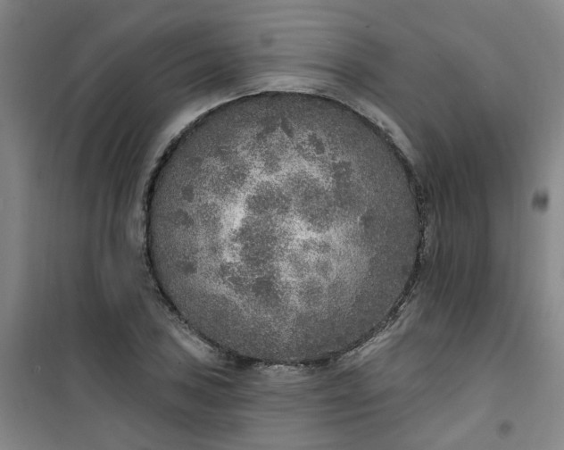 X0000101151027200807111001