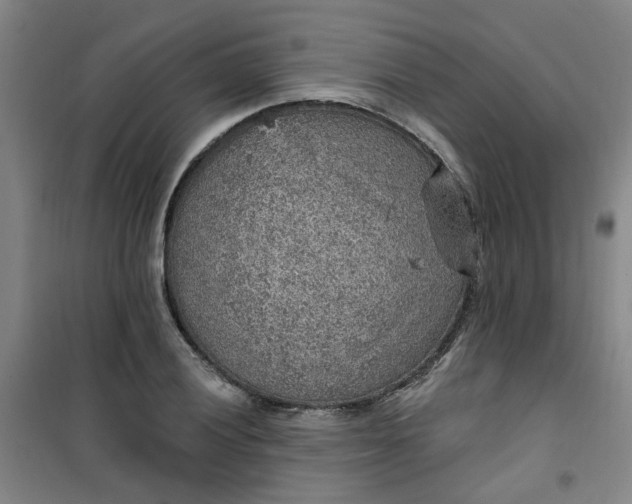 X0000101151028200807111001